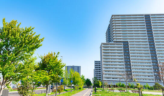 イメージ写真：仙台の街並み：ビルと街路樹